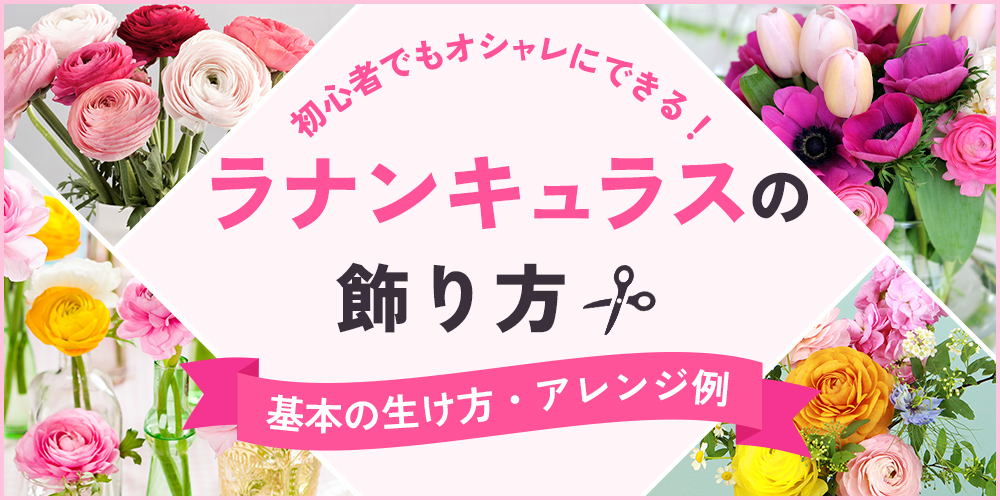 【初心者向け】ラナンキュラスの飾り方！基本からアレンジまでおしゃれに飾るコツ