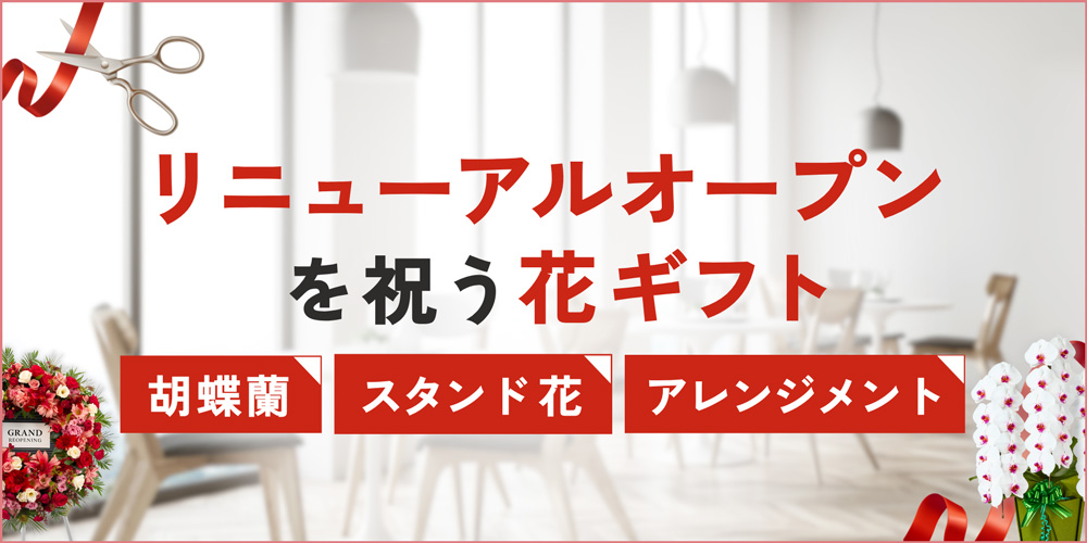 リニューアルオープンをお祝いする花ギフト選び｜胡蝶蘭が定番人気！