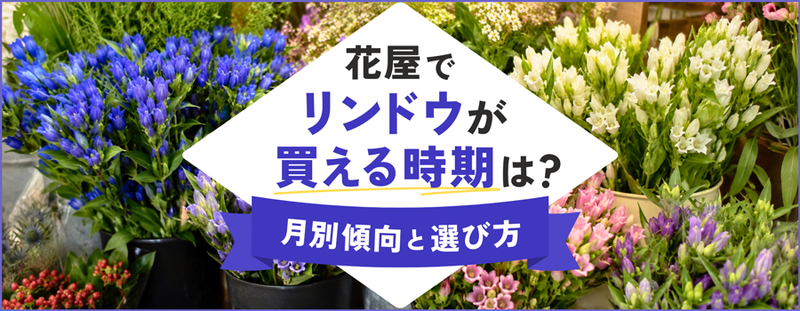 花屋でリンドウが買える時期は？月別傾向と選び方