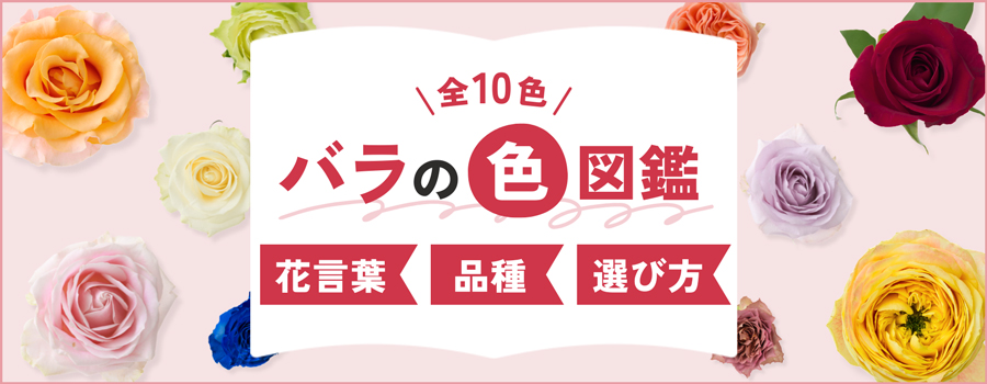 バラの色図鑑　花言葉・品種・選び方