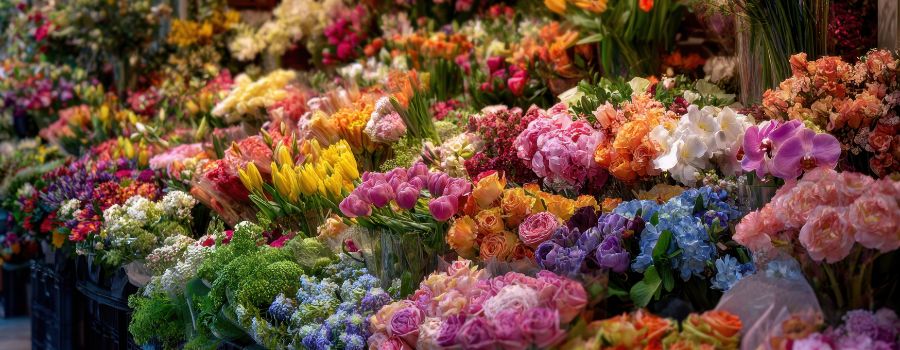 バラの切り花の値段相場