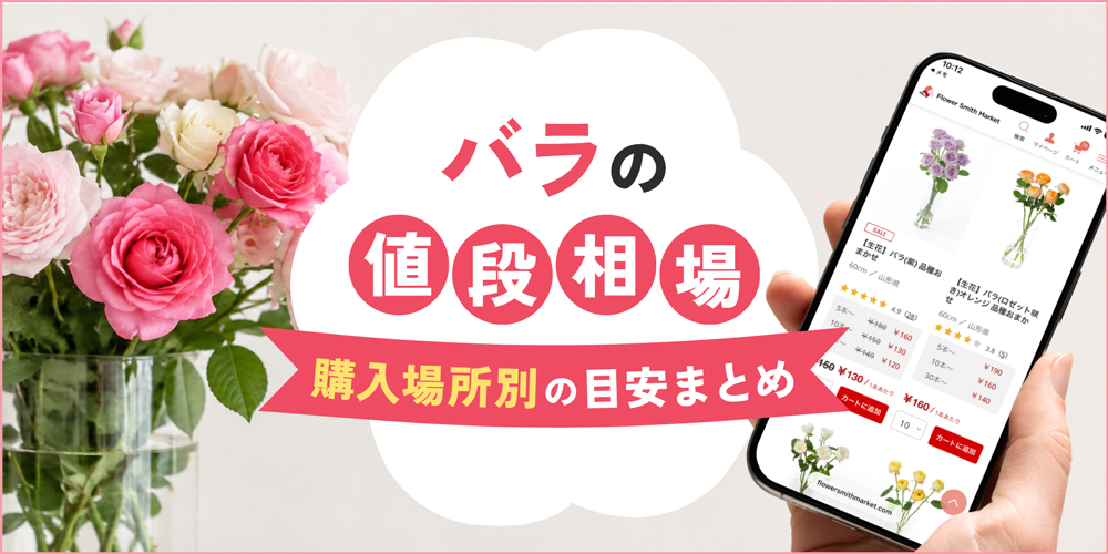 【最新】バラの値段相場ガイド｜購入場所別の価格から安く買うコツまで徹底解説