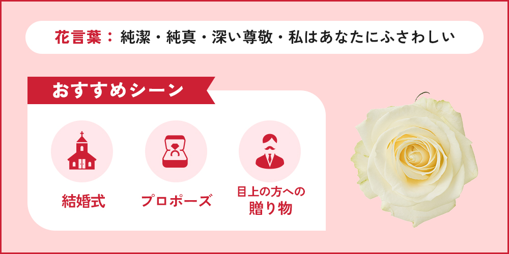 セットで販売してます、バラは断りです！