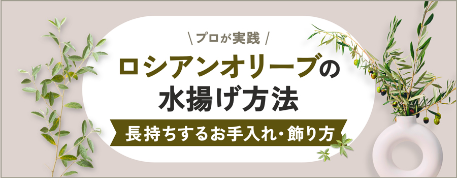 ロシアンオリーブの水揚げ方法　長持ちするお手入れ・飾り方