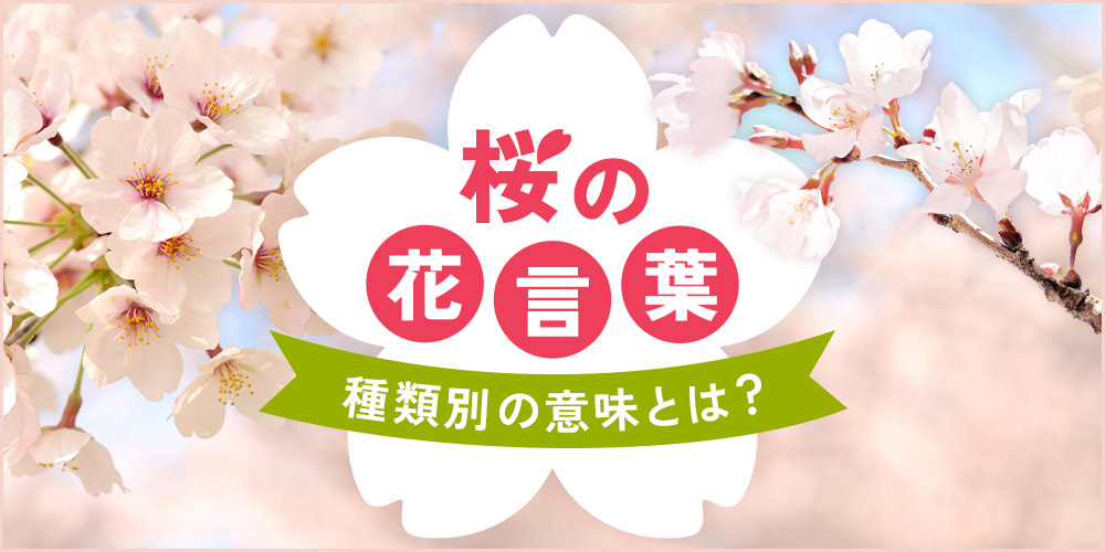 桜（サクラ）の花言葉と由来｜種類別の意味や誕生花の日付も紹介