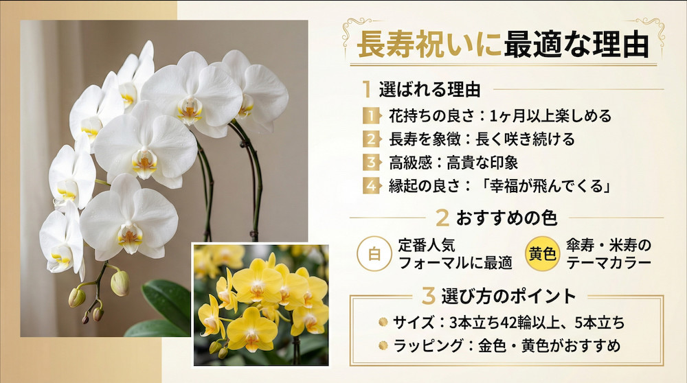 長寿祝に胡蝶蘭が最適な理由