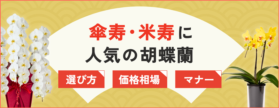 傘寿・米寿に人気の胡蝶蘭