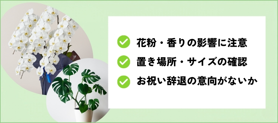 整骨院・接骨院に植物を贈る際に知っておきたい注意点