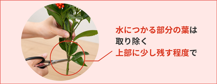 不要な葉を取り除く