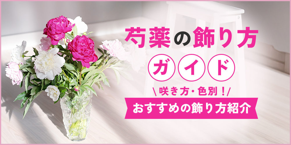 芍薬の飾り方完全ガイド！初心者でもオシャレに飾る方法を解説