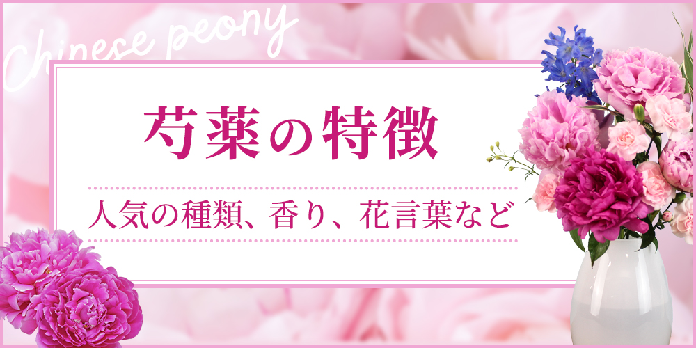 花屋の仕事内容と1日の流れを解説！きついと言われるのはなぜ？
