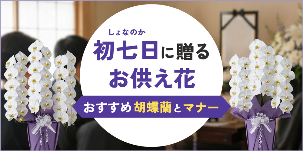 初七日のお供えに贈る花｜最適な胡蝶蘭と予算・サイズ選び