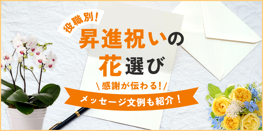 昇進祝いのお花選び！役職別に贈る胡蝶蘭とメッセージ例を紹介