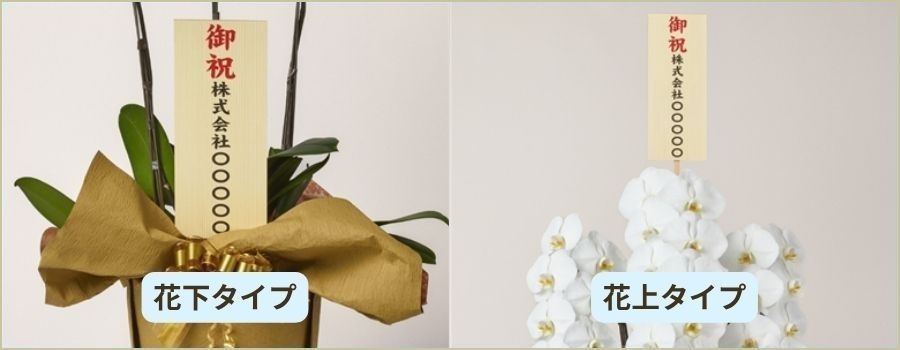 【重要】大輪胡蝶蘭には「花上につける立札」を推奨