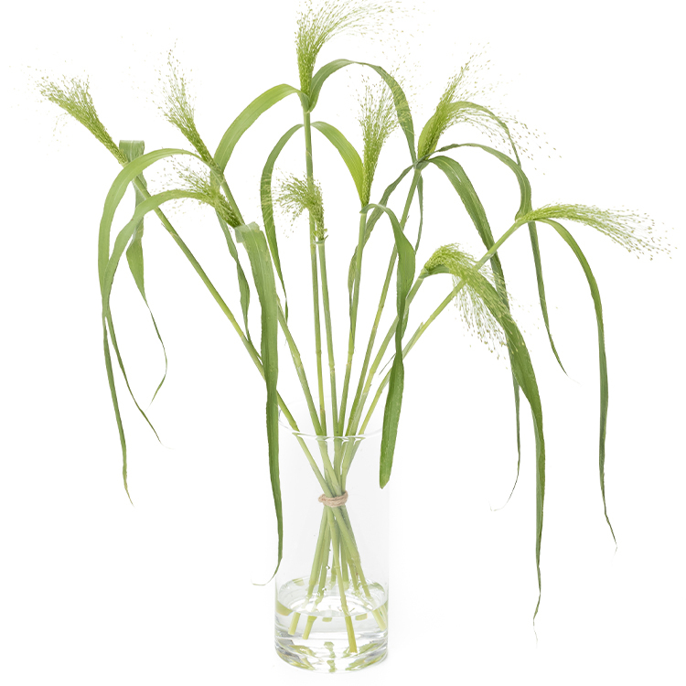 少なめの水につけておく