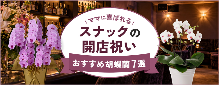 ママに喜ばれるスナックの開店祝い　おすすめ胡蝶蘭7選