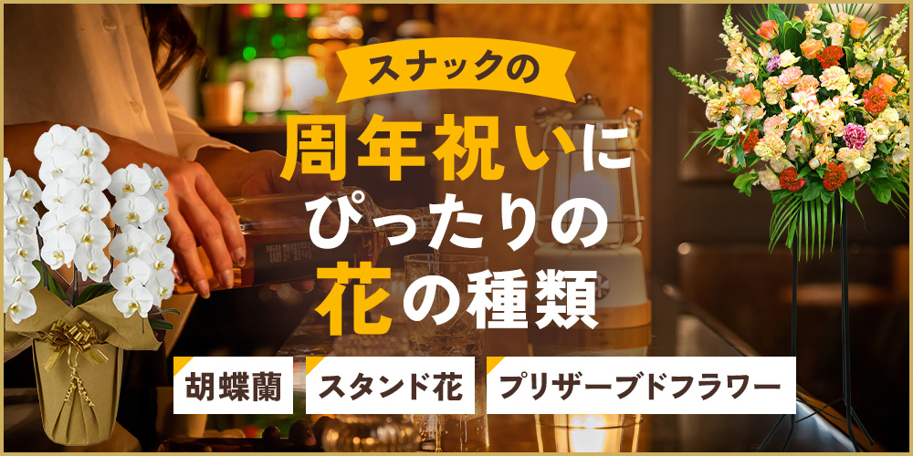 スナックの周年祝いに何を贈る？喜ばれる胡蝶蘭や花ギフトを紹介