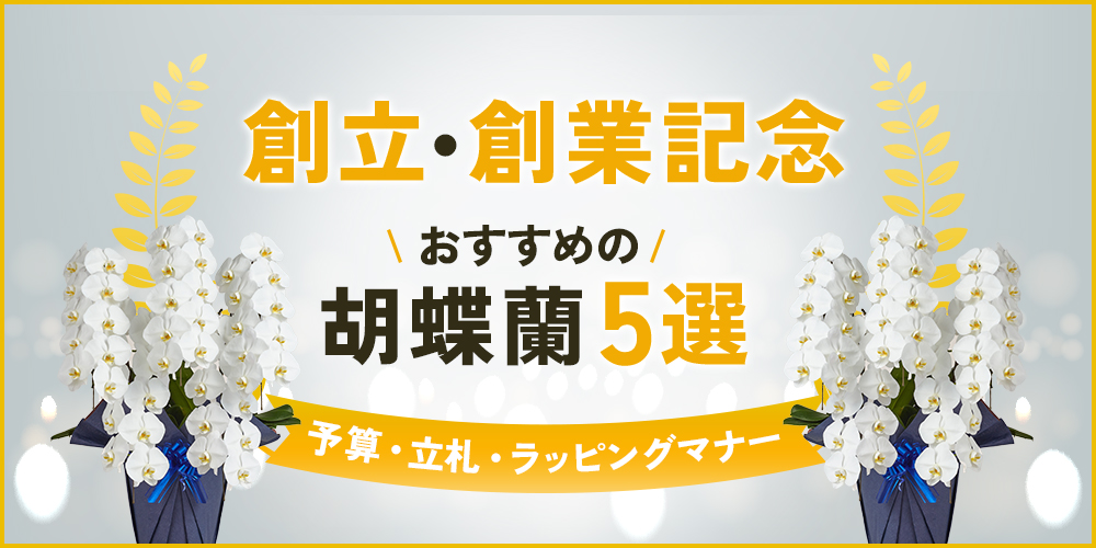 創立記念・創業記念のお祝い花なら胡蝶蘭！おすすめ5選と予算・マナーを解説