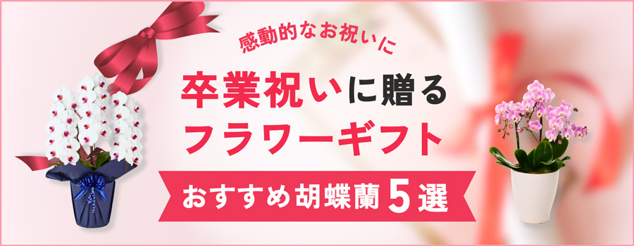 卒業祝いに贈るフラワーギフト