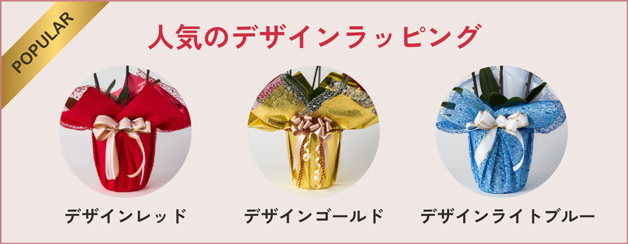 卒寿祝いの胡蝶蘭には豪華ラッピング