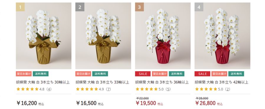 胡蝶蘭は花屋さんとネット通販、どちらで購入する？