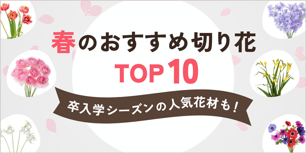 春におすすめの切り花TOP10！卒入学シーズンに人気のお花も紹介