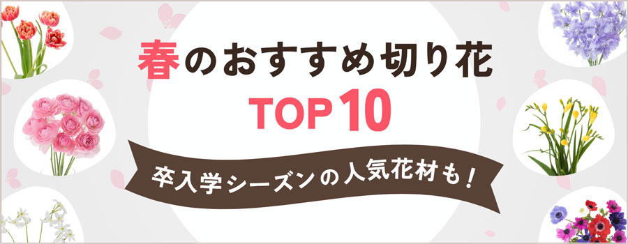 春のおすすめ切り花TOP10