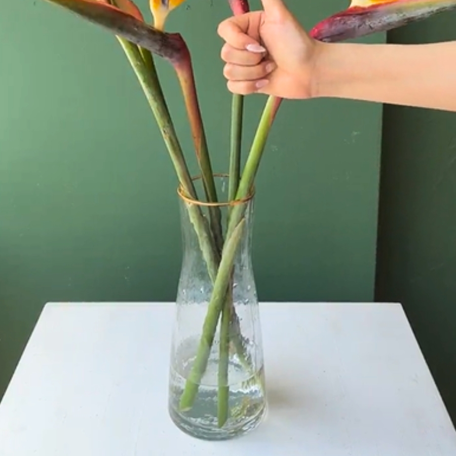 少なめの水に生ける