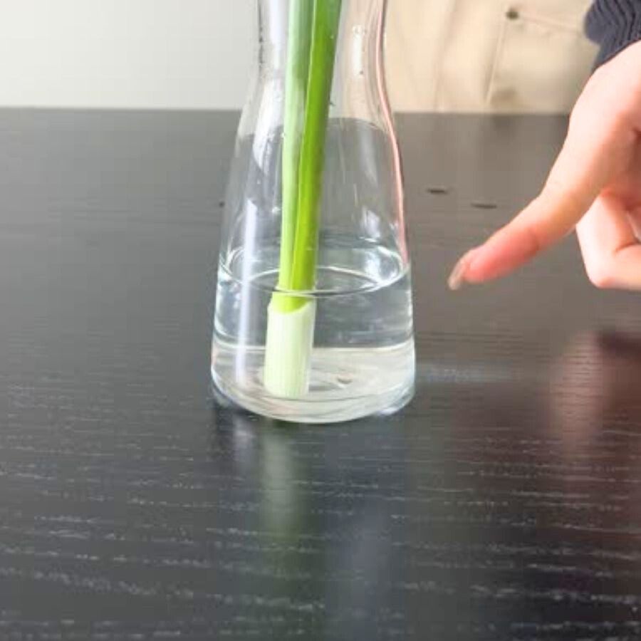 葉と花、はかまを元に戻して浅水に生ける