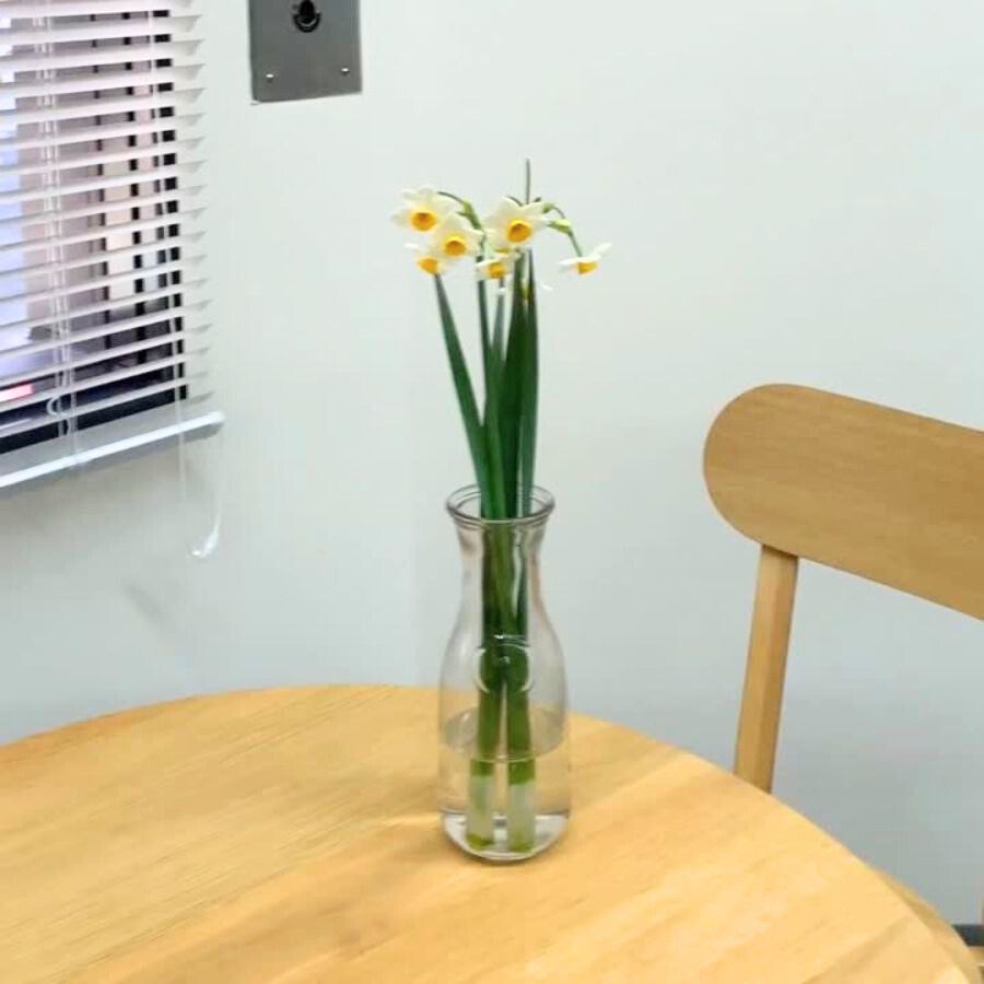 水仙単体で、長さを生かしたアレンジ