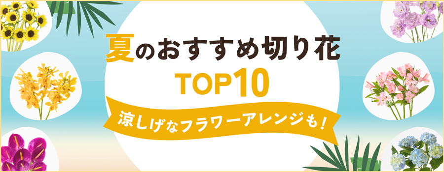 夏のおすすめ切り花TOP10