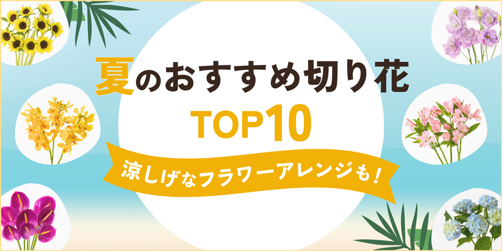 夏におすすめの切り花TOP10！暑さに強い花や涼しげなフラワーアレンジを紹介