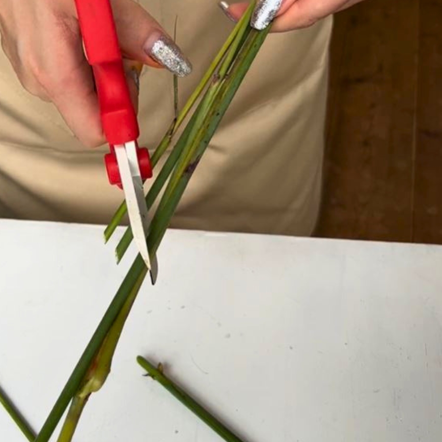 茎を斜めにカットする