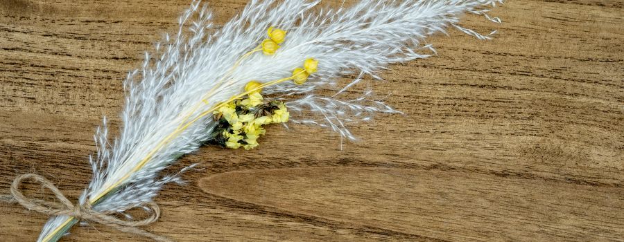 ススキの切り花をドライフラワーにして長く楽しむ方法