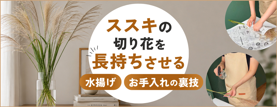 ススキの切り花を長持ちさせる