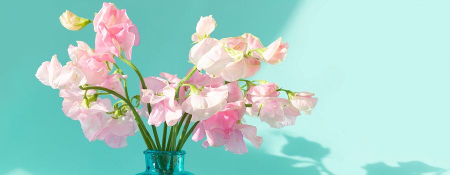 スイートピーが花屋で出回る季節