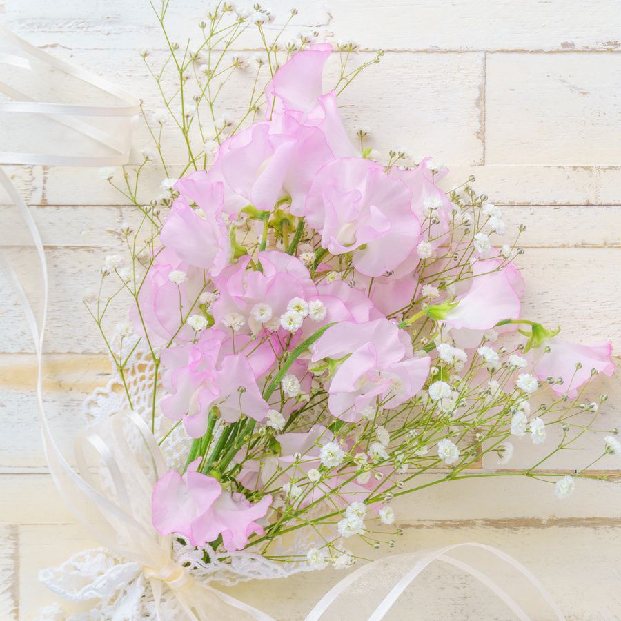 スイートピーとカスミソウを組み合わせた儚げなアレンジ