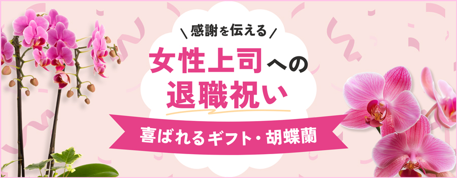 女性上司への退職祝い