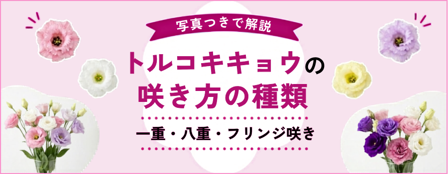 トルコキキョウの咲き方の種類