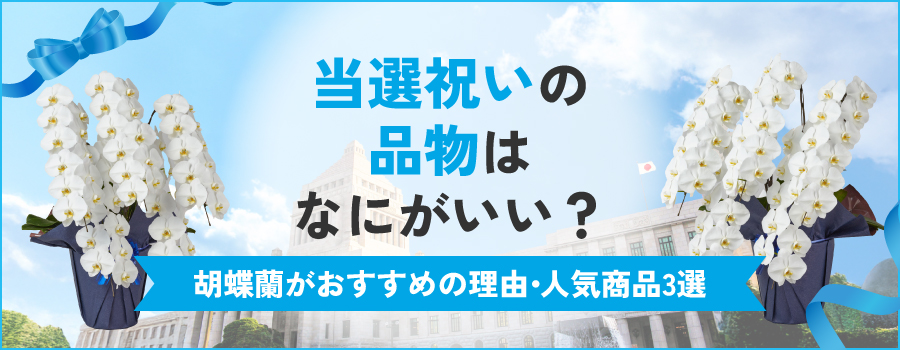 当選祝いの品物はなにがいい？胡蝶蘭がおすすめの理由・人気商品3選