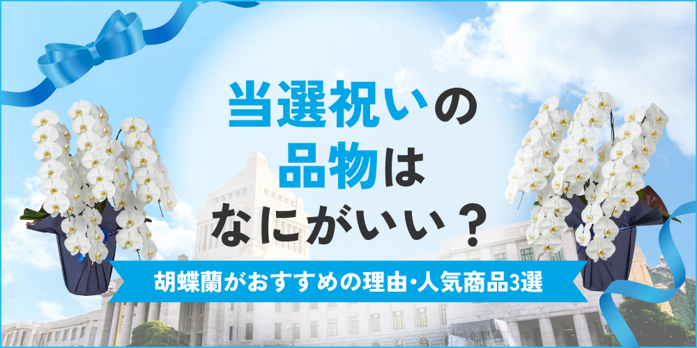 選挙当選祝いの品物は胡蝶蘭が最適！贈る際の相場やマナーを解説