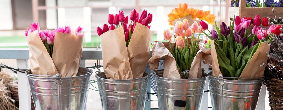 花屋さんにチューリップが並ぶ「旬の時期」は1月～3月