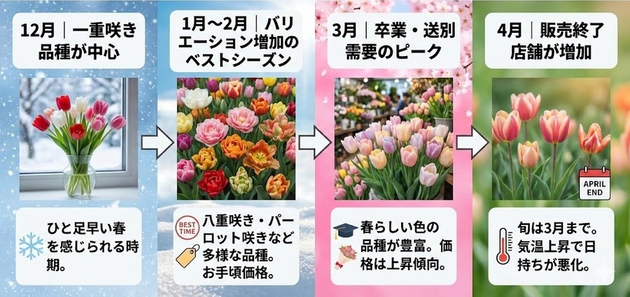 【月別】花屋に並ぶチューリップの傾向と選び方