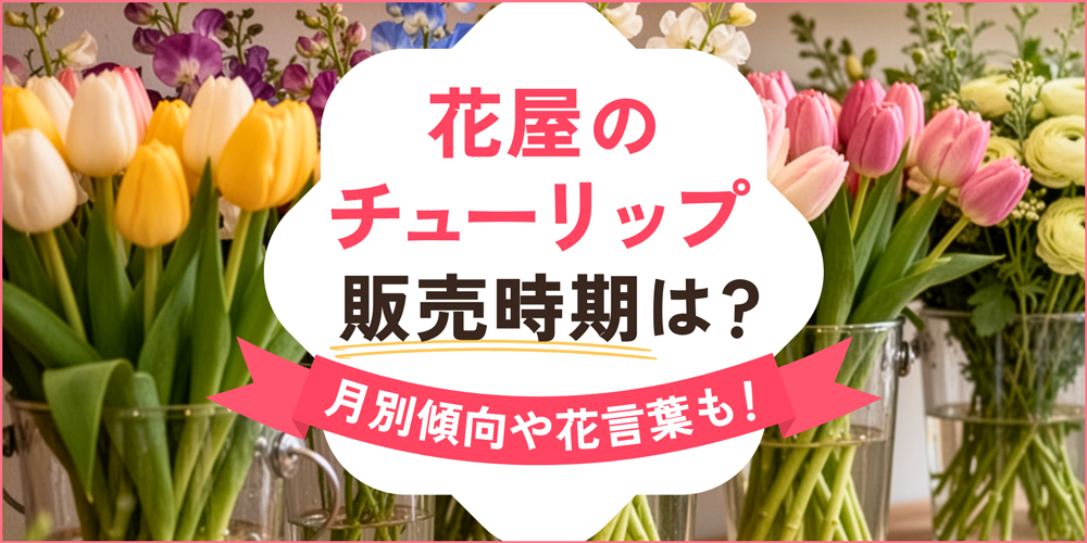 花屋でチューリップが買える時期はいつ？月別の出回り傾向や花言葉も解説