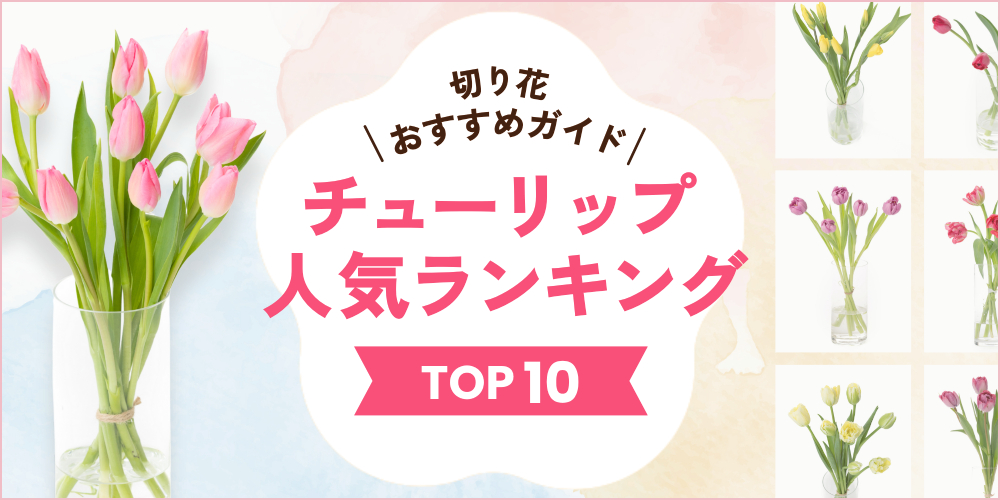 チューリップ人気ランキング【最新版】切り花のおすすめ品種と選び方ガイド