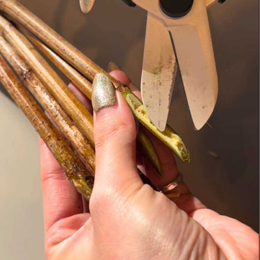 ワタを取り除く