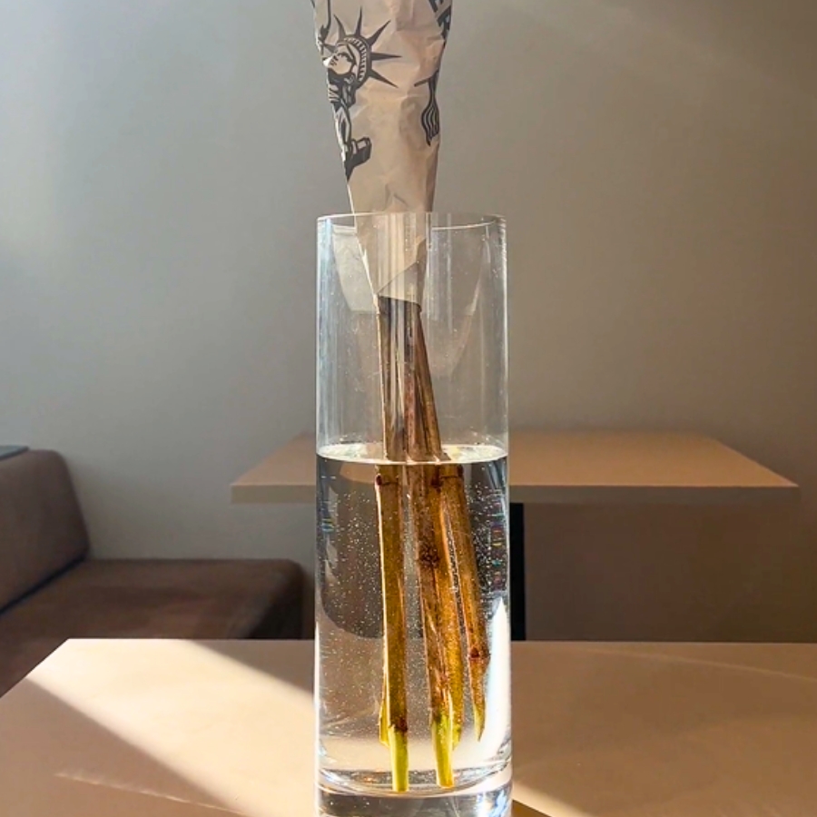 たっぷりの水に数時間つけておく