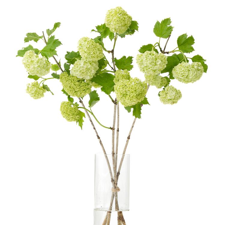 大きめの花瓶に無造作に生ける