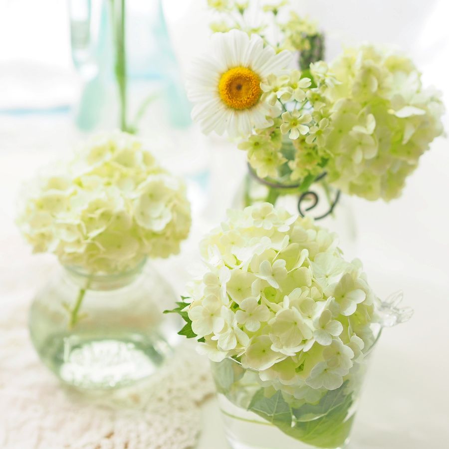 小さな花瓶に短く切り分けて飾る