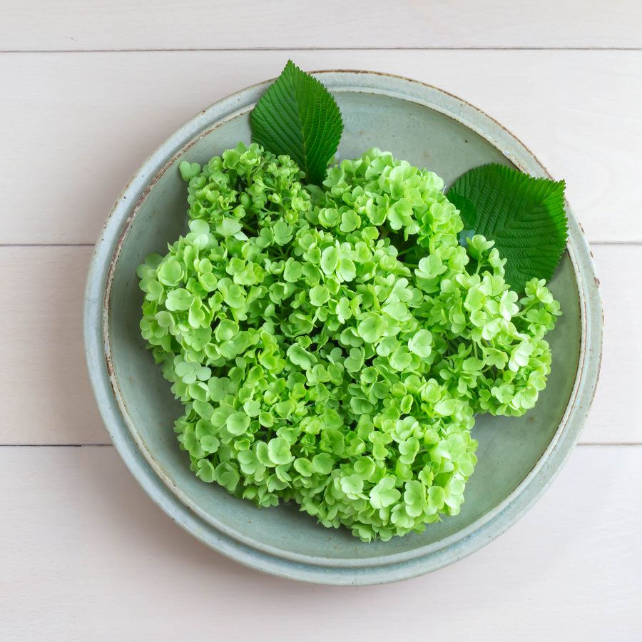 花の部分だけをお皿に浮かべる